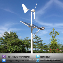 1000W Hybrid Solar Wind Power Generation System